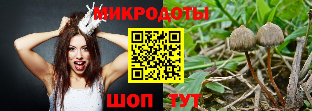 Донецк  Псилоцибиновые грибы Magic Shrooms  Вход с VPN 